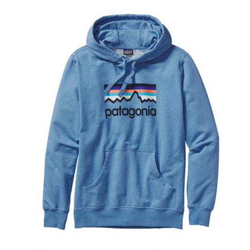 patagonia hoodie
