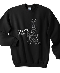 splash mountain sweatshirt