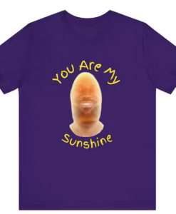 You Are My Sunshine T Shirt SD